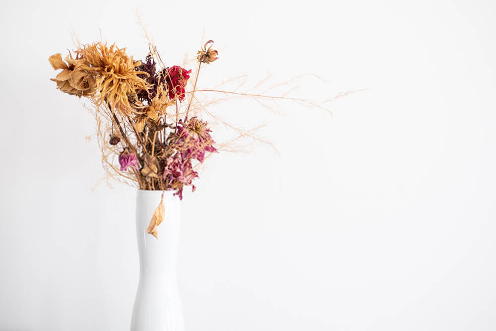 Faire sécher les fleurs du jardin