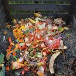 composter les restes de légume
