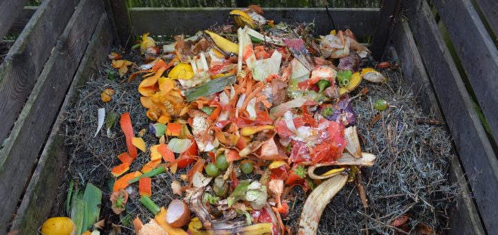 composter les restes de légume