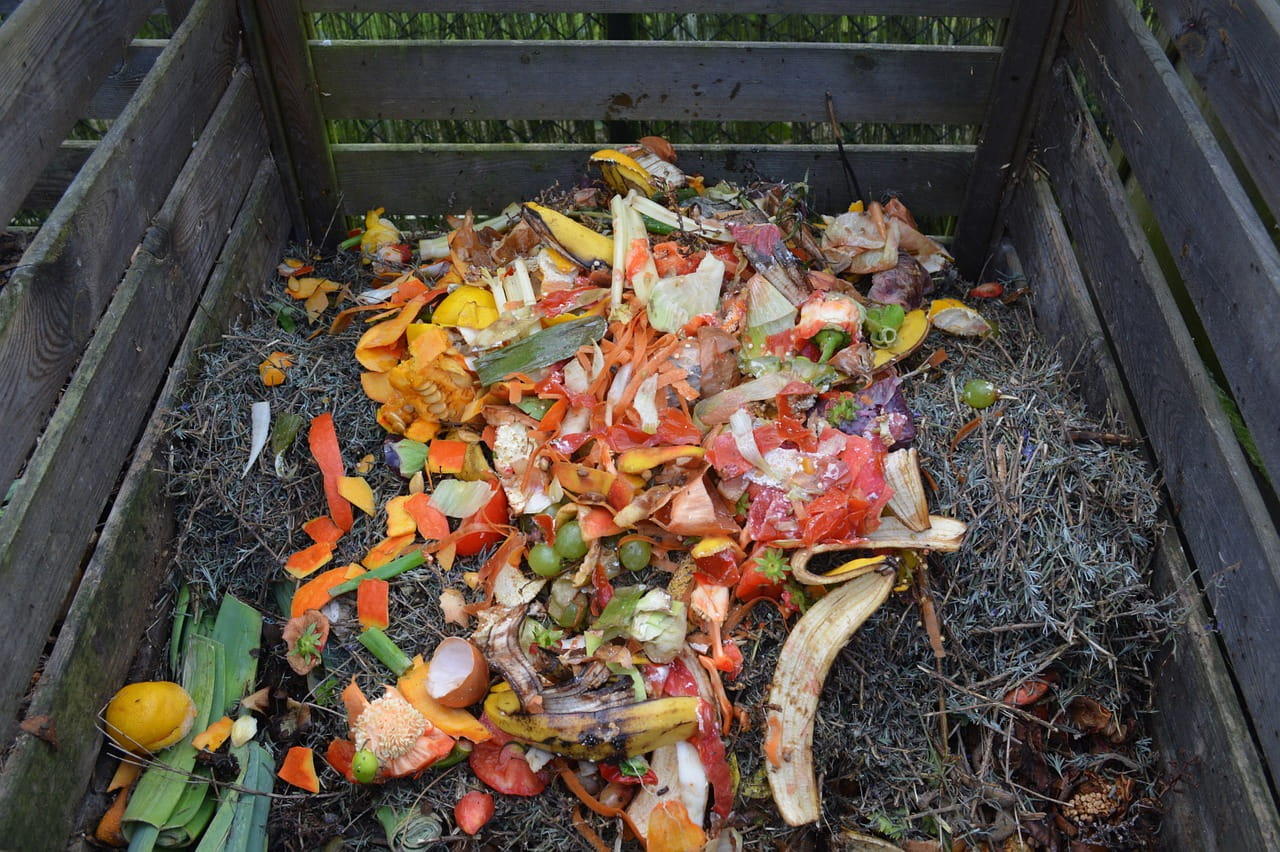 composter les restes de légume