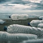 recyclage des bouteilles en plastique