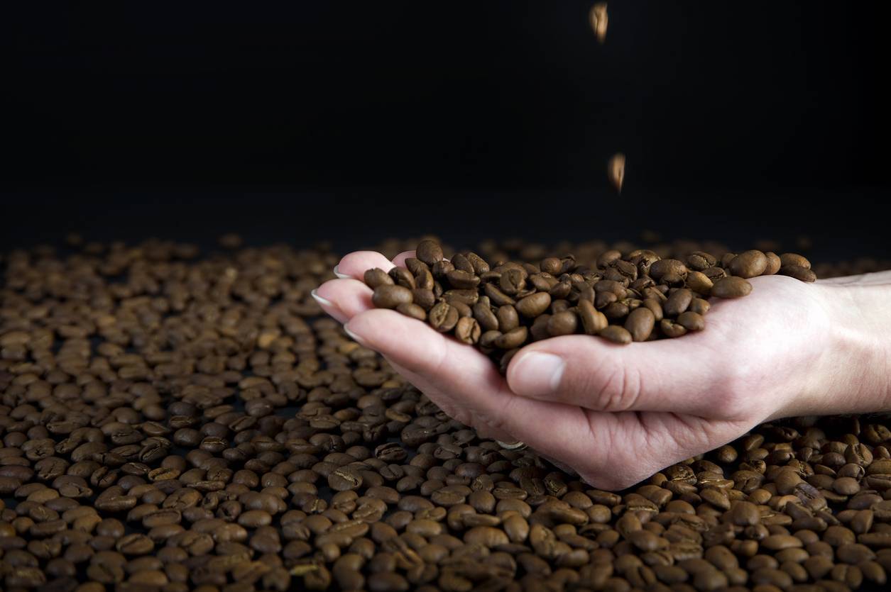cafetière à grain, café en grain