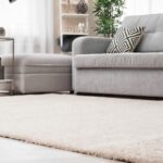 tapis tendance devant canapé