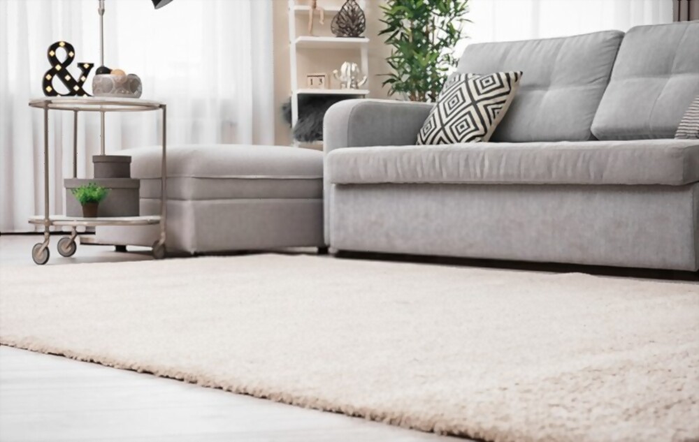 tapis tendance devant canapé