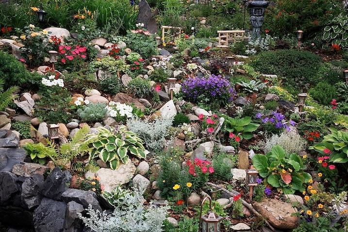 Quelles plantes utiliser pour un jardin Zen