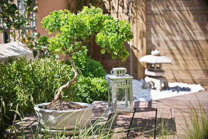 Comment aménager un jardin Zen