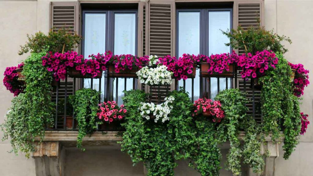 Fleurir son balcon sans risque