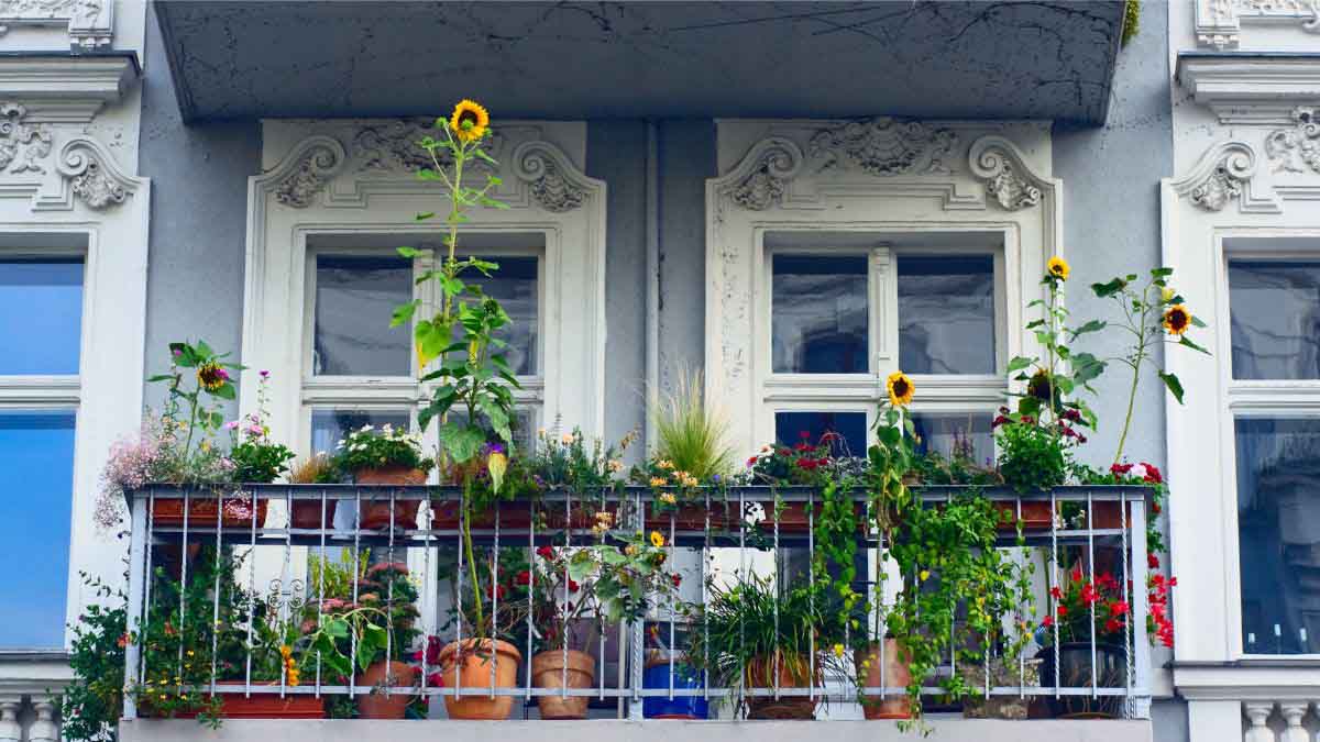 Aménagement et sécurité du balcon : les règles à respecter