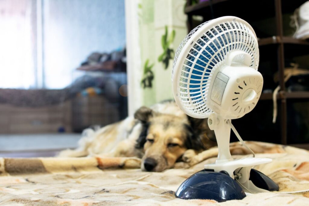 vous pourrez utiliser un ventilateur pour les nuits les plus chaudes.