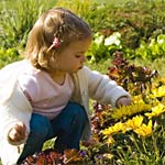 Les plantes toxiques Les plantes toxiques