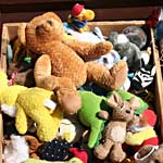 Recycler les déchets végétaux Recycler les déchets végétaux