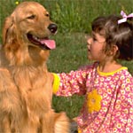 La cohabitation chien-enfant La cohabitation chien-enfant