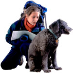Voyager avec un chien Voyager avec un chien