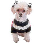 Protéger un chien du froid Protéger un chien du froid