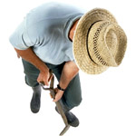 Planter un arbre ou un arbuste en conteneur Planter un arbre ou un arbuste en conteneur