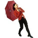 Poser un brise-vent Poser un brise-vent