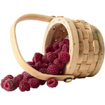 Congeler les fruits du jardin Congeler les fruits du jardin