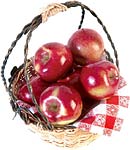 Faire mûrir les fruits du jardin Faire mûrir les fruits du jardin