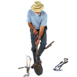 Planter des grimpantes en racines nues Planter des grimpantes en racines nues