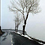 Nos conseils pour conduire par temps de brouillard Nos conseils pour conduire par temps de brouillard