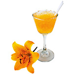 Aphrodisiaque Aphrodisiaque