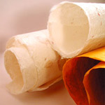 Fabriquer la pulpe du papier artisanal Fabriquer la pulpe du papier artisanal