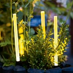 L'écologie au jardin L'écologie au jardin
