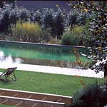 Découvrir la piscine naturelle Découvrir la piscine naturelle