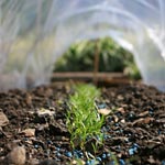 Les jardins partagés Les jardins partagés