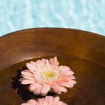 Les spas de nage Les spas de nage